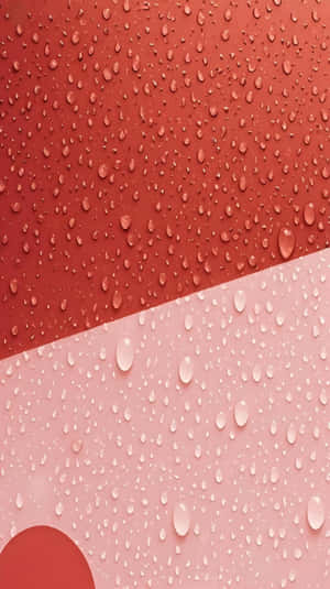 紅色和粉紅色表面的對角線分割，帶有水珠 — MacBook Pro 美學 壁紙