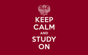 Keep calm and study on 勵志海報，白色文字與雙頭鷹，紅色背景 — 創意 壁紙