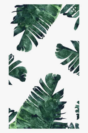 白色背景上的水彩風格熱帶葉片 — 植物美學 壁紙