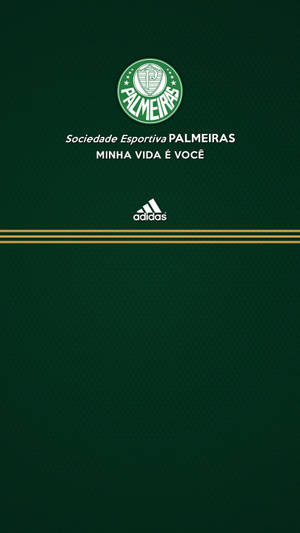 帕爾梅拉斯足球俱樂部標誌，帶有Adidas品牌，置於深綠色紋理背景上。 — Off white 標誌 壁紙