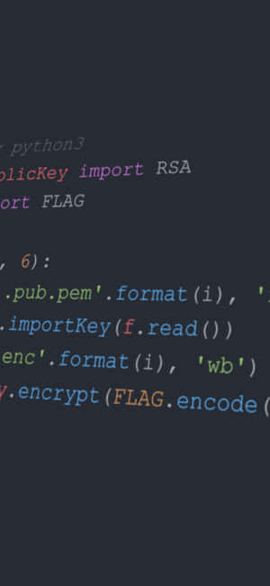 用於 RSA 加密的 Python 程式碼在深色主題編輯器中顯示，帶有語法高亮。 — iPhone 15 Pro Max 壁紙