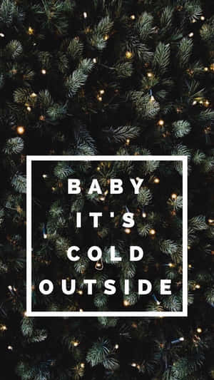 松樹枝條、仙女燈和文字 'Baby It's Cold Outside' — 聖誕美學 壁紙