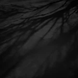 深色樹枝剪影在帶紋理的灰色表面上投下複雜的陰影。 — 抽象 壁紙