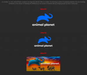 Animal Planet標誌變體，特色是藍色跳躍大象和有大象的日落。 — 動物星球 壁紙