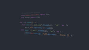在深色背景上顯示的RSA加密語法高亮Python程式碼。 — 4K程式壁紙