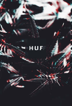 帶有紅色和藍綠色亮點的大麻葉，以及白色文字中的「HUFF」。 — 大麻 壁紙