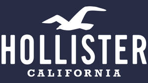 深藍色背景上帶有海鷗剪影的Hollister California標誌。 — Hollister 壁紙