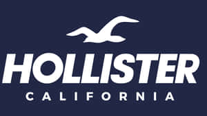 Hollister California 標誌，白色海鷗在海軍藍背景上的粗體文字上方飛翔。 — 丹寧 壁紙