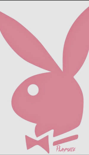 灰色背景上帶有蝴蝶結和Playmate文字的粉紅色Playboy兔子標誌。 — 花花公子 GIF 壁紙