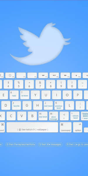Twitter 鳥標誌在帶有推文功能的虛擬鍵盤上方 — 推特 壁紙
