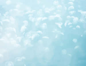 淺藍色背景 — 淺藍色 壁紙