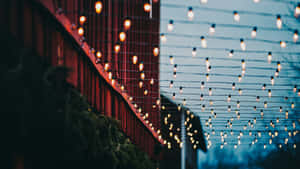 串燈在黃昏時溫暖地照亮紅色穀倉。 — 光線 壁紙