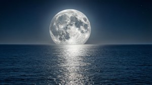 寧靜的滿月倒映在平靜的海面上。 — 月光 壁紙