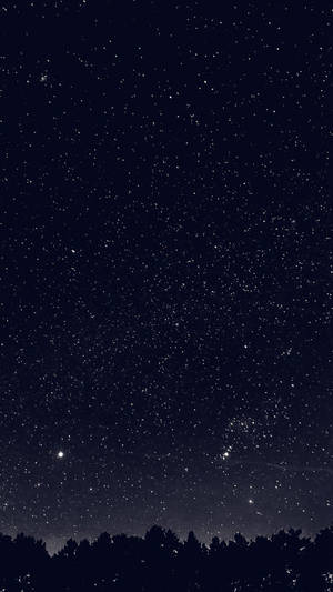 漆黑的森林剪影上方的星空夜空 — 深色模式 壁紙