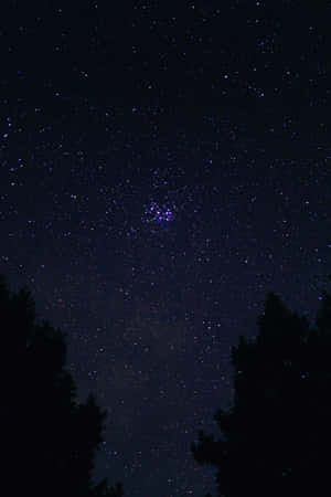 漆黑的樹影襯托著繁星點點的夜空和發光的星團。 — 小米平板 9 Pro 壁紙