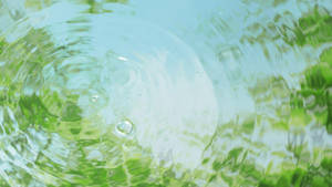 清澈水中的漣漪映照綠葉和藍天 — 湖泊 壁紙