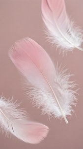 粉紅色和白色羽毛在柔和的玫瑰色背景上飄浮。 — 淺粉色調 壁紙