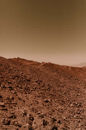 火星背景 — 火星人布魯諾 壁紙