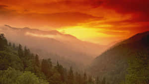 夕陽映照霧氣籠罩的山巒，下方是茂密的森林 — 夕陽天空 壁紙