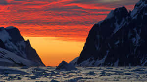 白雪覆蓋的山峰框住了浮冰海洋上充滿活力的夕陽。 — 南極洲 壁紙