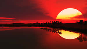 水面上的紅色夕陽，棕櫚樹剪影和天空倒影。 — 日落 壁紙