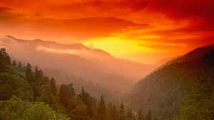 夕陽籠罩在霧氣瀰漫的山巒之上，下方是茂密的森林 — 山脈 壁紙