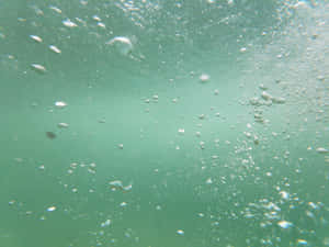 氣泡在陽光下清澈帶綠色的水中上升。 — 淺綠色系 壁紙