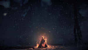 營火在雪地森林中夜間明亮燃燒。 — 露營 壁紙