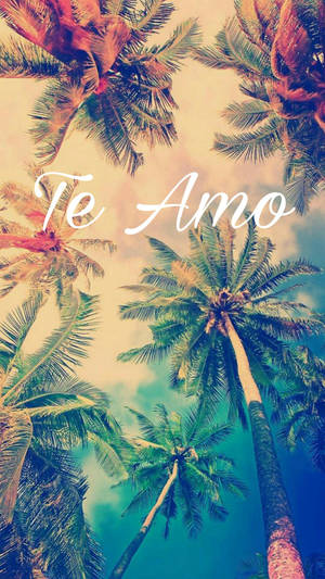 棕櫚樹框住帶有「Te Amo」文字的天空，營造浪漫的熱帶場景。 — 棕櫚樹 壁紙