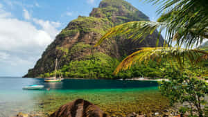 熱帶海灣，背景有山脈、帆船和棕櫚樹。 — 假期 壁紙