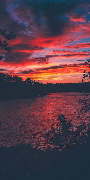 平靜湖面上的鮮豔紅紫色夕陽，帶有樹木剪影 — 日落 壁紙