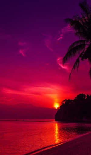 海洋上鮮豔的洋紅色和深紅色夕陽，棕櫚樹剪影 — Galaxy Tab A11 壁紙