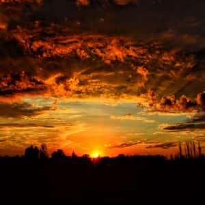 戲劇性的夕陽，熾熱的橙色雲朵籠罩在黑暗的樹木剪影之上。 — 夕陽天空 壁紙