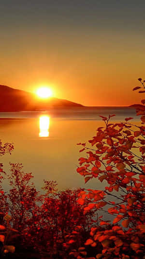 湖上日落，前景有紅色秋葉 — 夕陽天空 壁紙