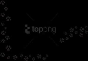 免費PNG下載系列爪印PNG圖片背景 - 透明背景爪印邊框，PNG下載 — 動物紋 壁紙
