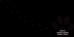 拉布拉多幼犬貓爪剪貼畫 - 狗透明爪印，高清PNG下載 — 約克夏幼犬 壁紙