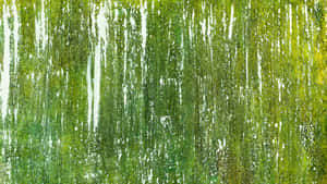 紋理背景 — 柔和綠 壁紙