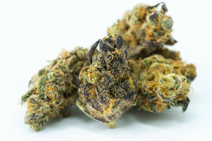 一堆乾燥的大麻花蕾，帶有綠色、紫色和橙色色調，背景為白色。 — 大麻 壁紙