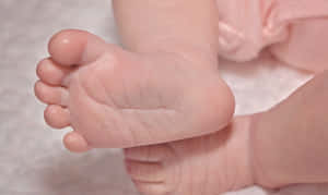 白色毛毯上的嬰兒腳丫 — 可愛 壁紙