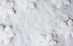 雪花落在冬天的冰地上 — 冬季風景 壁紙
