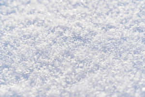 特寫鏡頭：地面上的雪晶，帶有柔和的藍白色調。 — 3:2 壁紙