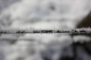 雪景冬日場景中電線上的霜晶。 — 水晶 壁紙