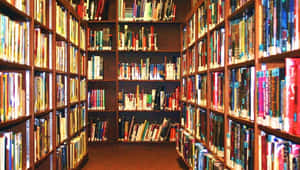 長長的圖書館通道，兩旁排列著高聳的木製書架，書架上擺滿了色彩繽紛的書籍。 — 閱讀 壁紙