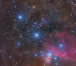深空中明亮的粉紅色和藍色星雲，帶有明亮的星星。 — 星際效應 壁紙