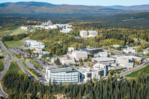 大學校園的鳥瞰圖，被秋林和山脈環繞。 — 紅木森林 壁紙