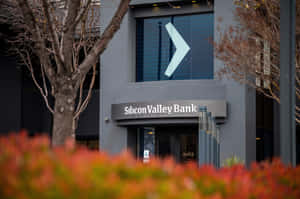 灰色銀行建築，帶有 'Silicon Valley Bank' 標誌和箭頭標誌，被紅色灌木和光禿的樹木環繞。 — 一护卍解 壁紙