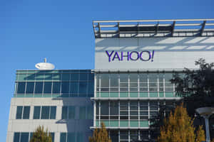 Yahoo企業大樓，玻璃外牆和秋樹在藍天下。 — 雅虎 壁紙