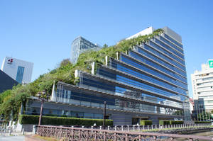 藍天下城市中帶綠色屋頂的現代玻璃建築 — 花園 壁紙
