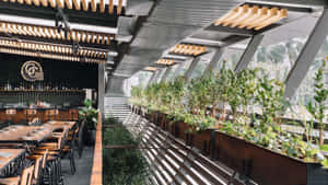 現代餐廳，沿玻璃牆設有木製桌椅和綠色植物。 — 植物美學 壁紙