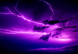 紫色閃電在戲劇性的夜空中照亮了黑暗的暴風雲。 — 閃電 壁紙
